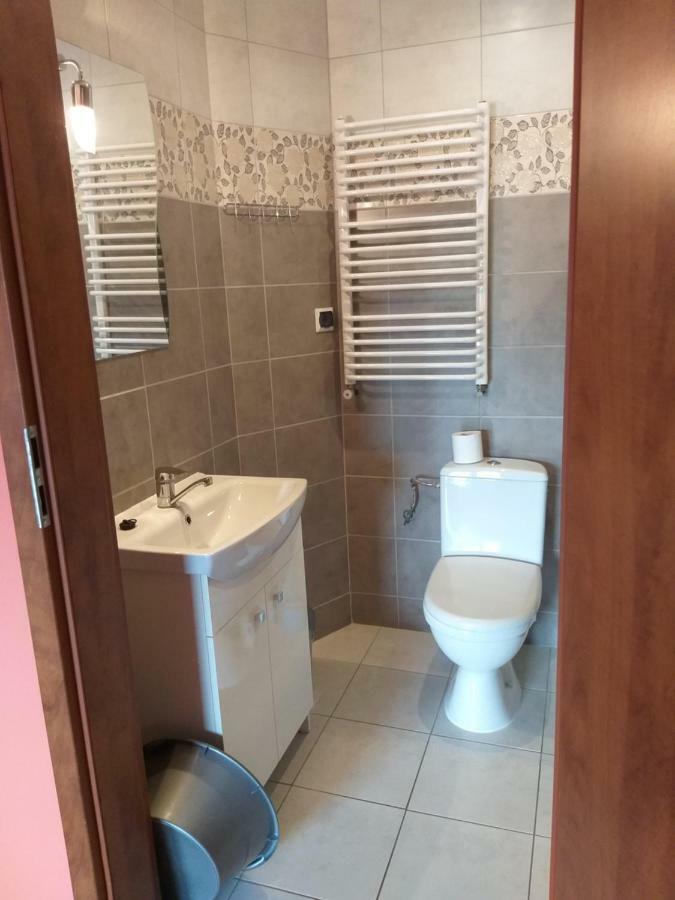 Apartamenty "Anusia" Ledzin Dış mekan fotoğraf